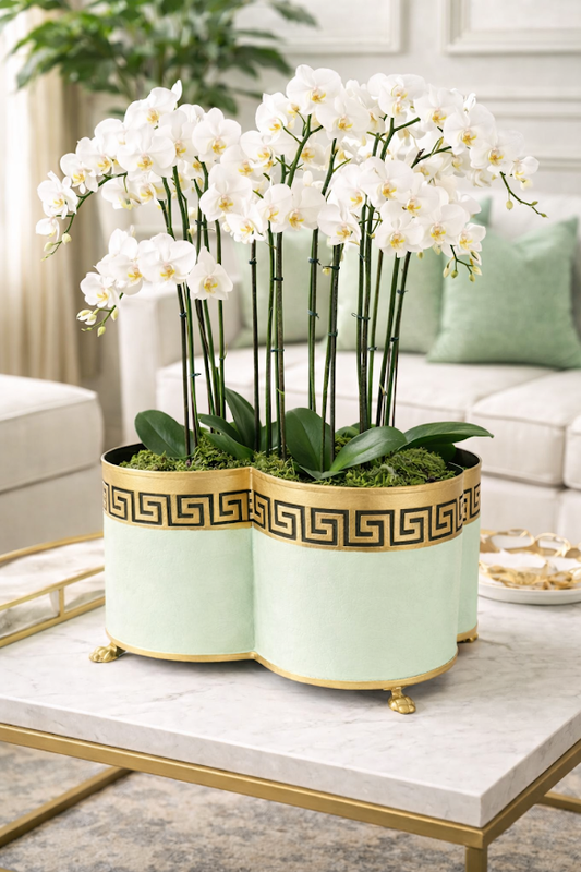a planter with white flowers