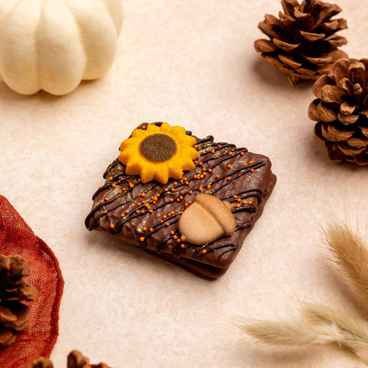 a chocolate cookie with a sunflower and pine cones