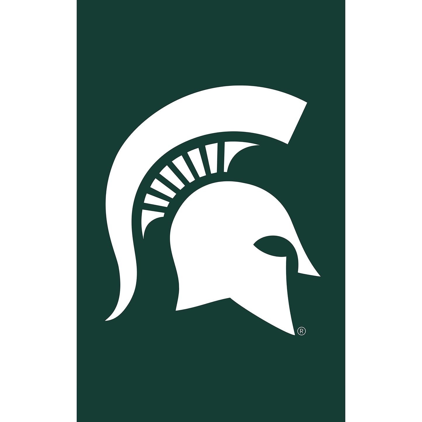 Michigan State University Applique House Flag