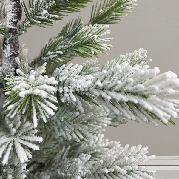 a close up of a tree