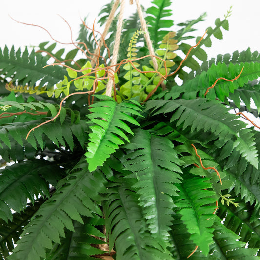 a green plant with a rope