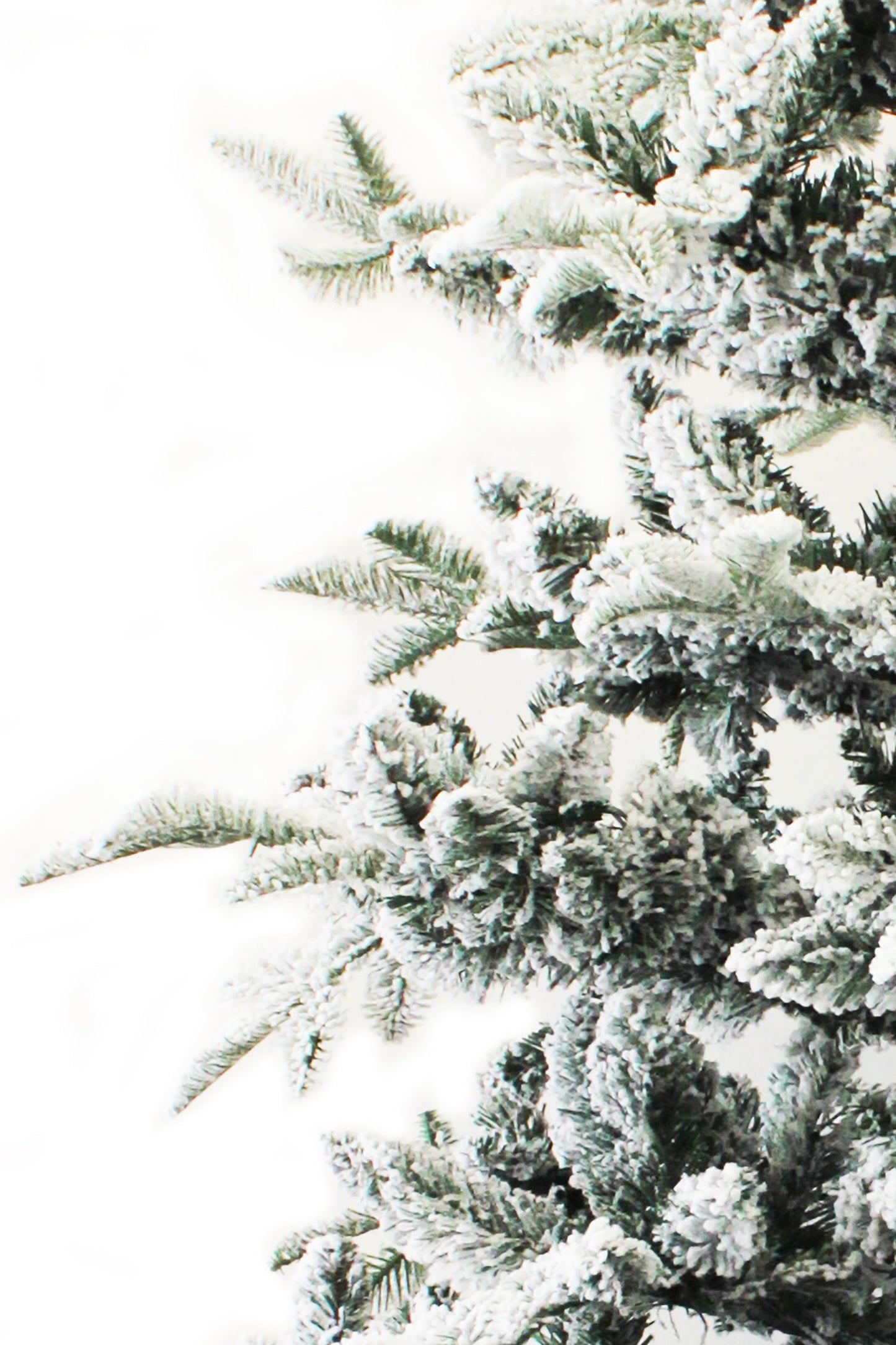 Calgary Spruce Snow Flocked Christmas Tree