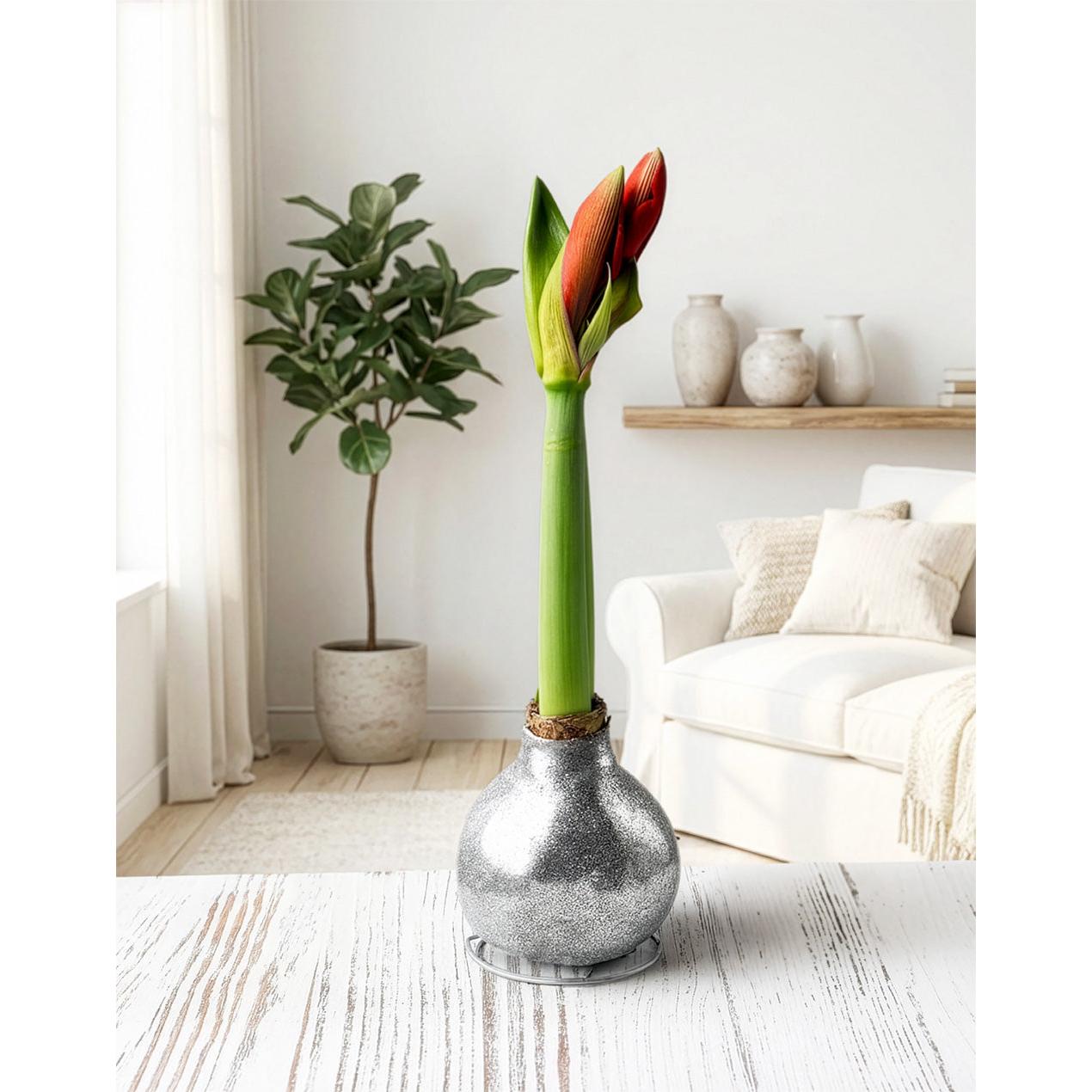 Silver Glitter Waxed Amaryllis with Pink Flower