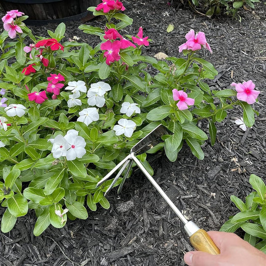 Stainless Steel Garden Cultivator Hoe (classic wood handle)