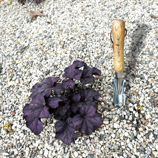 Stainless Steel 5-in-1 Weeder Trowel (classic wood handle)