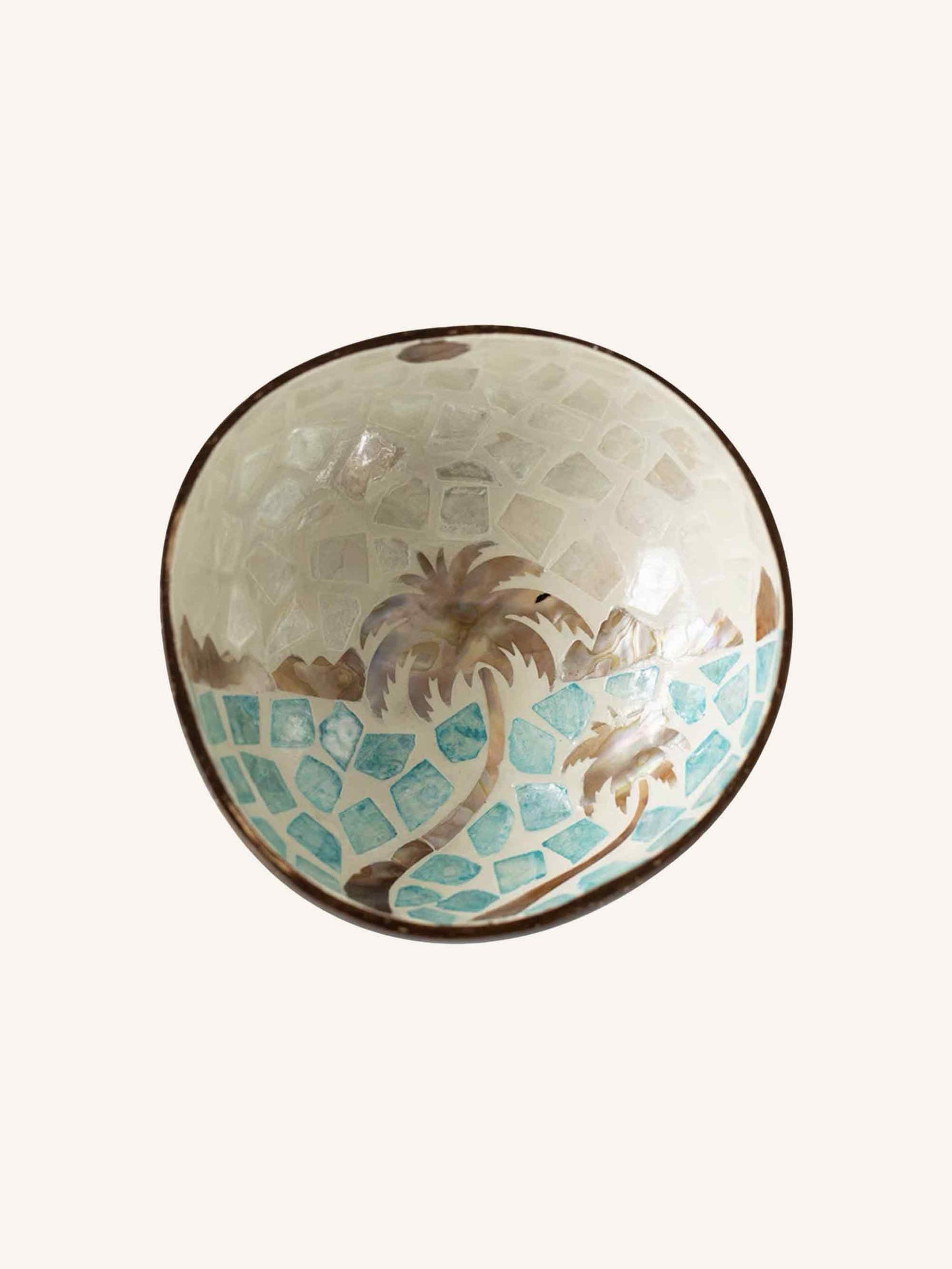 HANDMADE NATURAL SHELL COCONUT BOWL DECOR