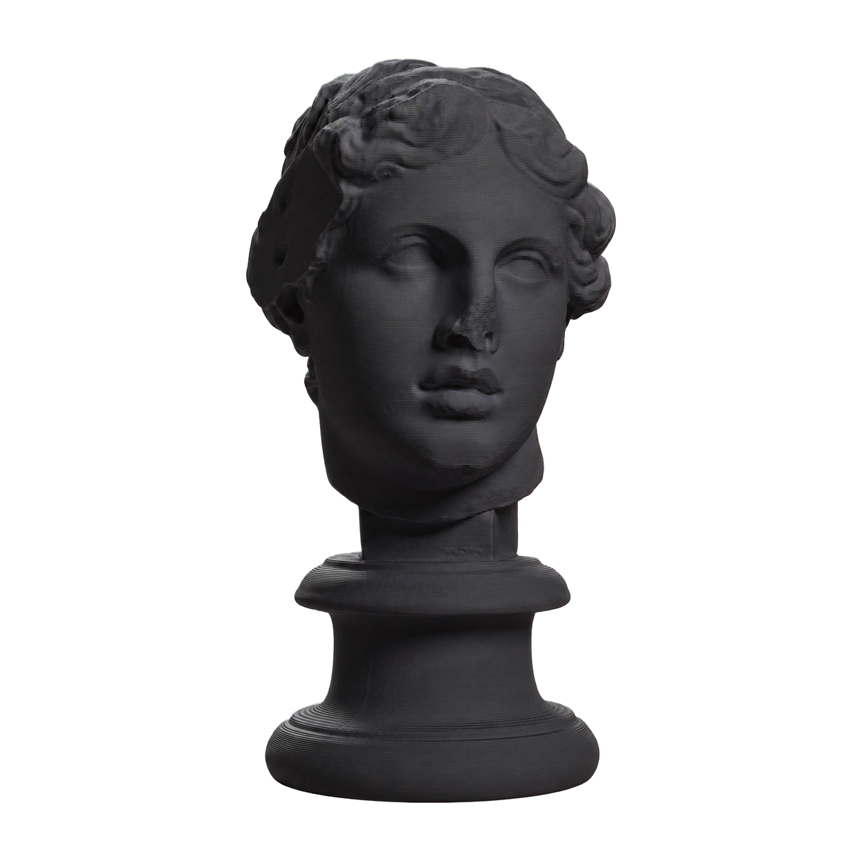 Portrait, 'The Beautiful Head'