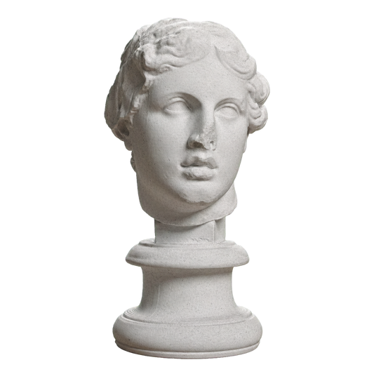 Portrait, 'The Beautiful Head'