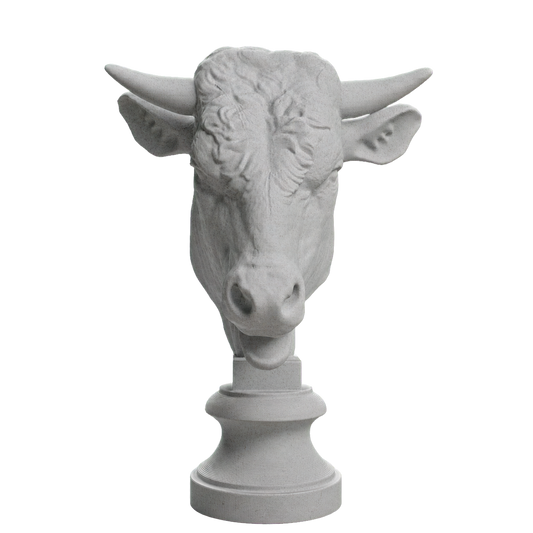 Head of a Bull
