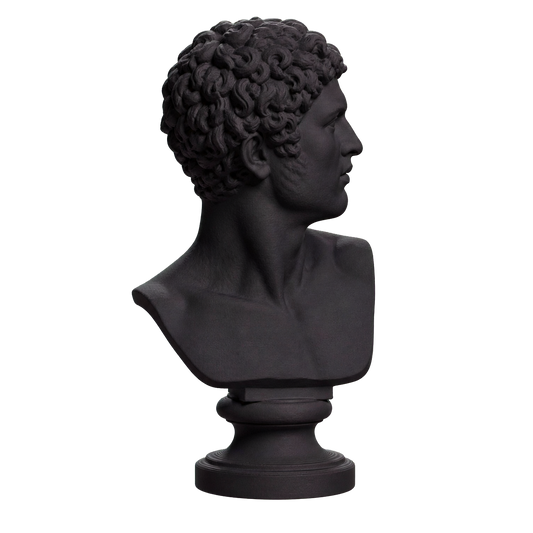 Head of a Man