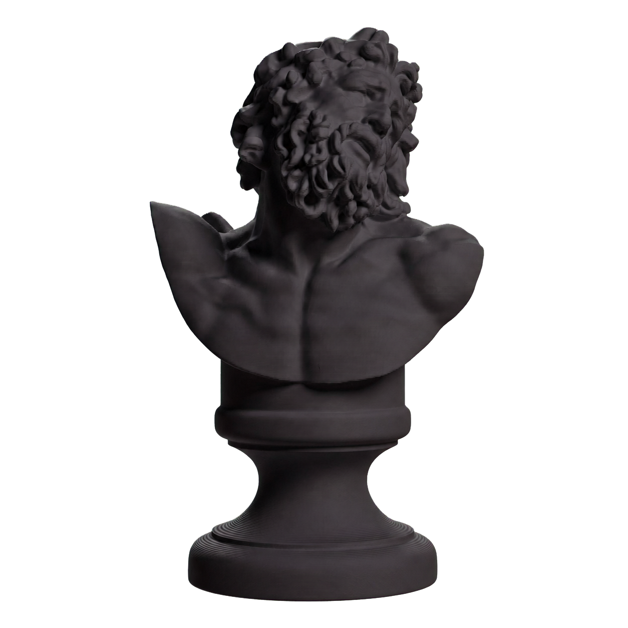 Bust of Laocoon