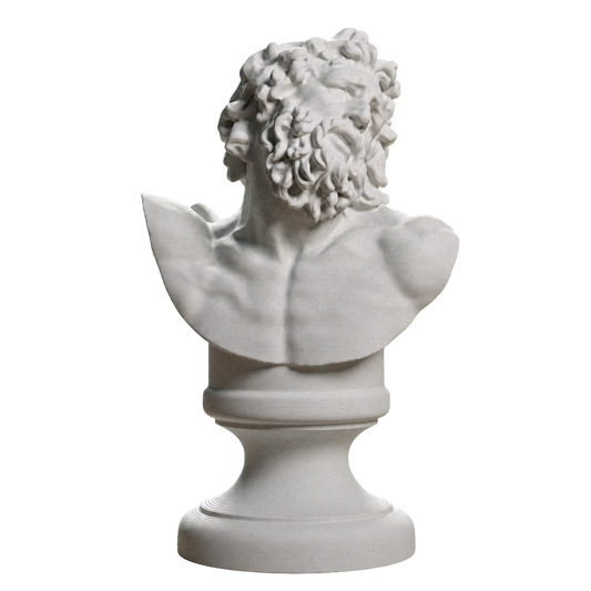 Bust of Laocoon