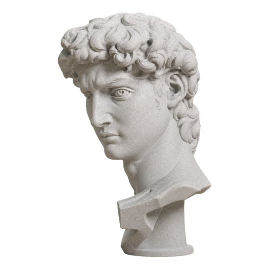 Head of Michelangelo's David