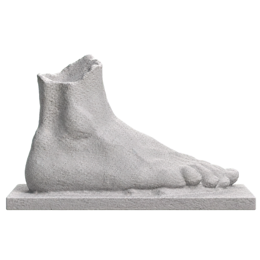 Right foot of an athlete (?)