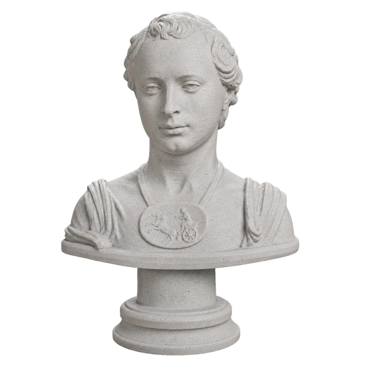 Bust of a Young Man with a Medallion