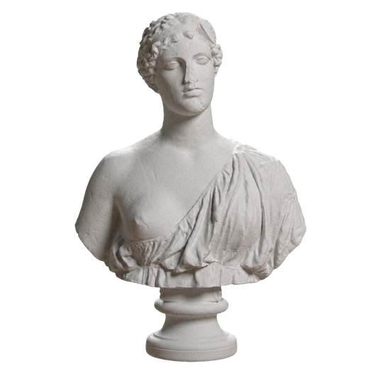 Bust of a woman The Oxford Bust