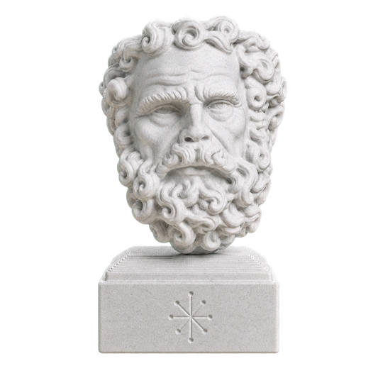Head of a Bearded Man