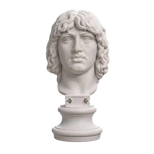 Head of a Barbarian Chief