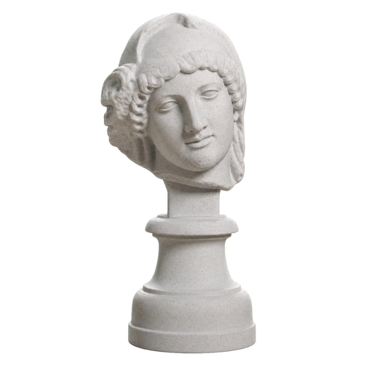 Head of the Mourning Penelope