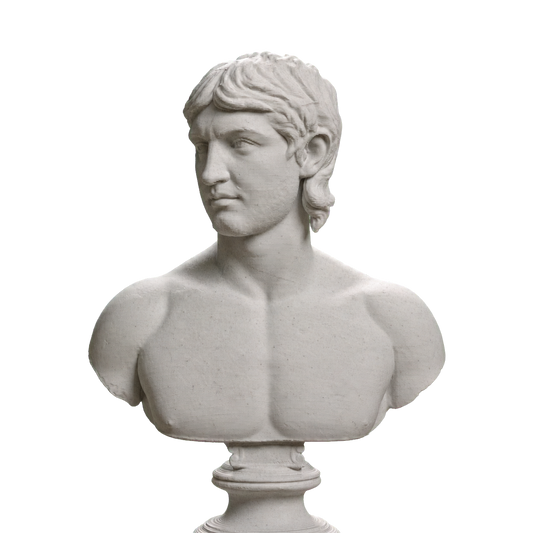 Young Barbarian Portrait, SMK KAS1200
