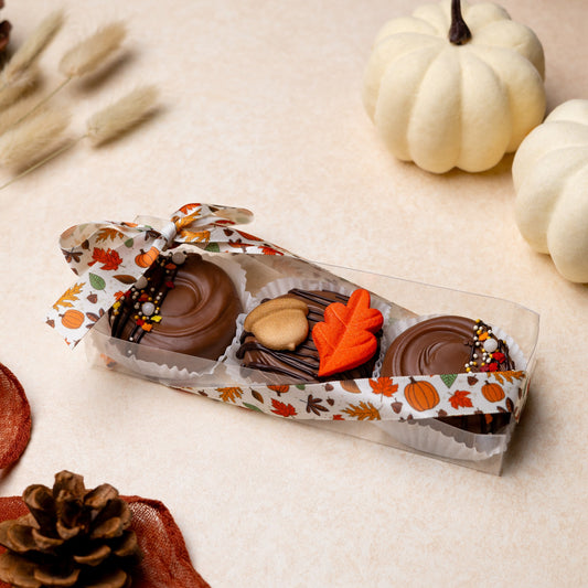 3-Piece Decorated Oreo Box - Fall