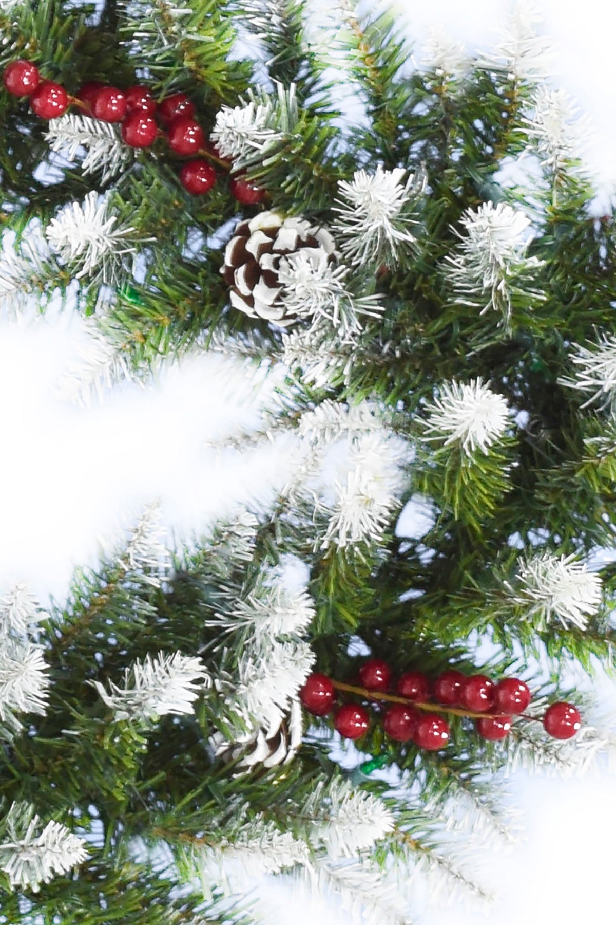 a close up of a pine tree
