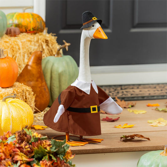 Harvest Pilgrim Porch Goose Outfit Giddy