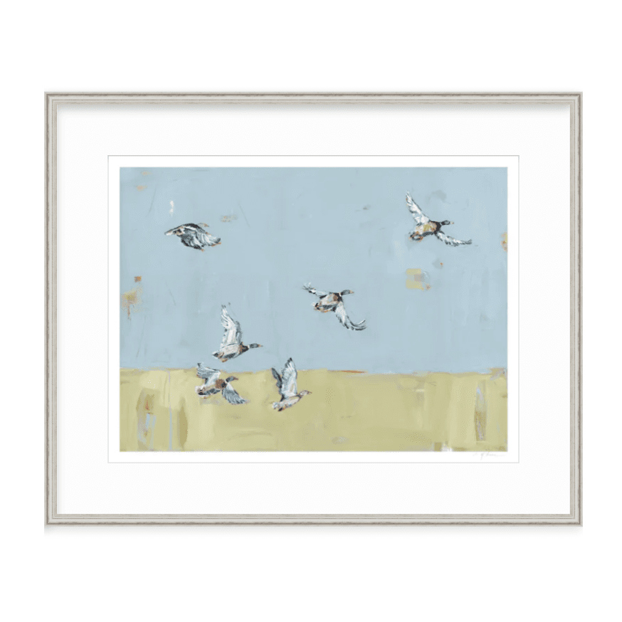 Here We Go Again Ducks Fine Art Print