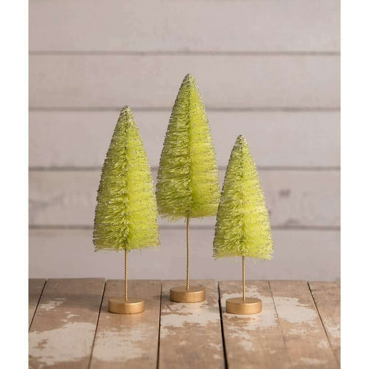 a group of small trees on a table