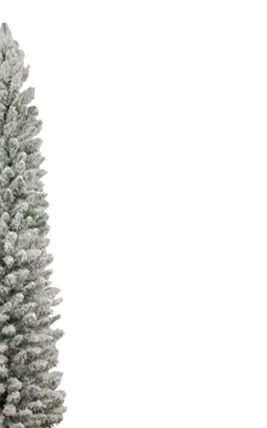 6.5 ft Pencil Snow Flock Tree