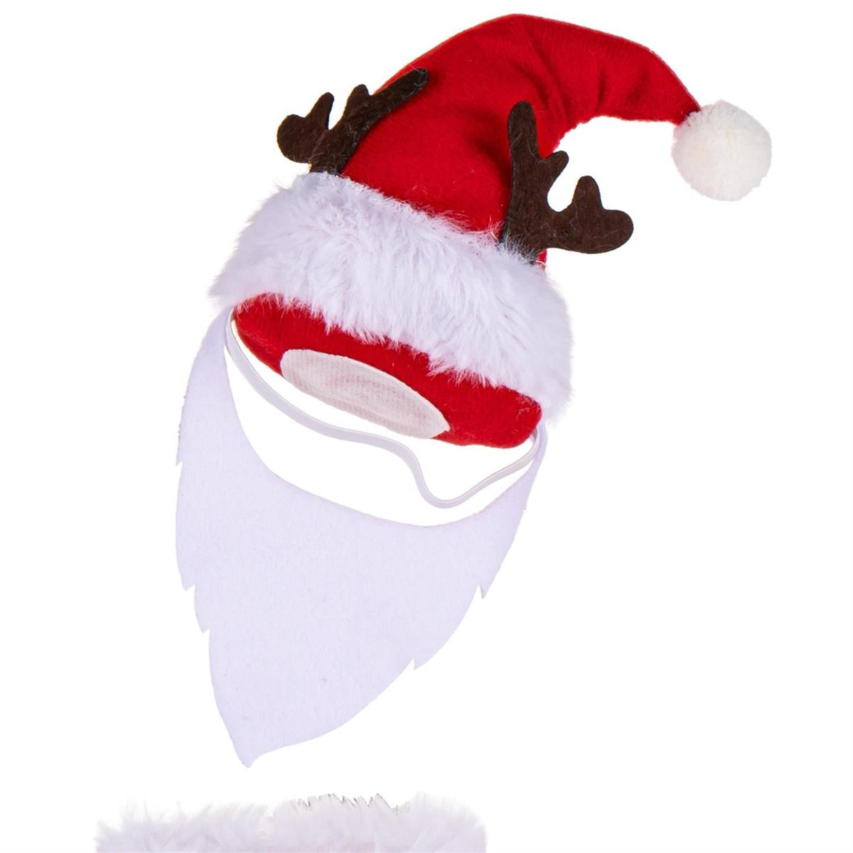 Santa Claus Porch Goose Outfit