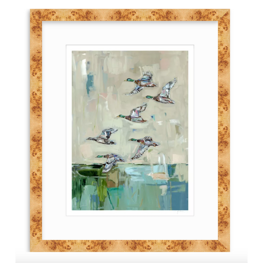 Mallards In Flight Ducks Fine Art Print