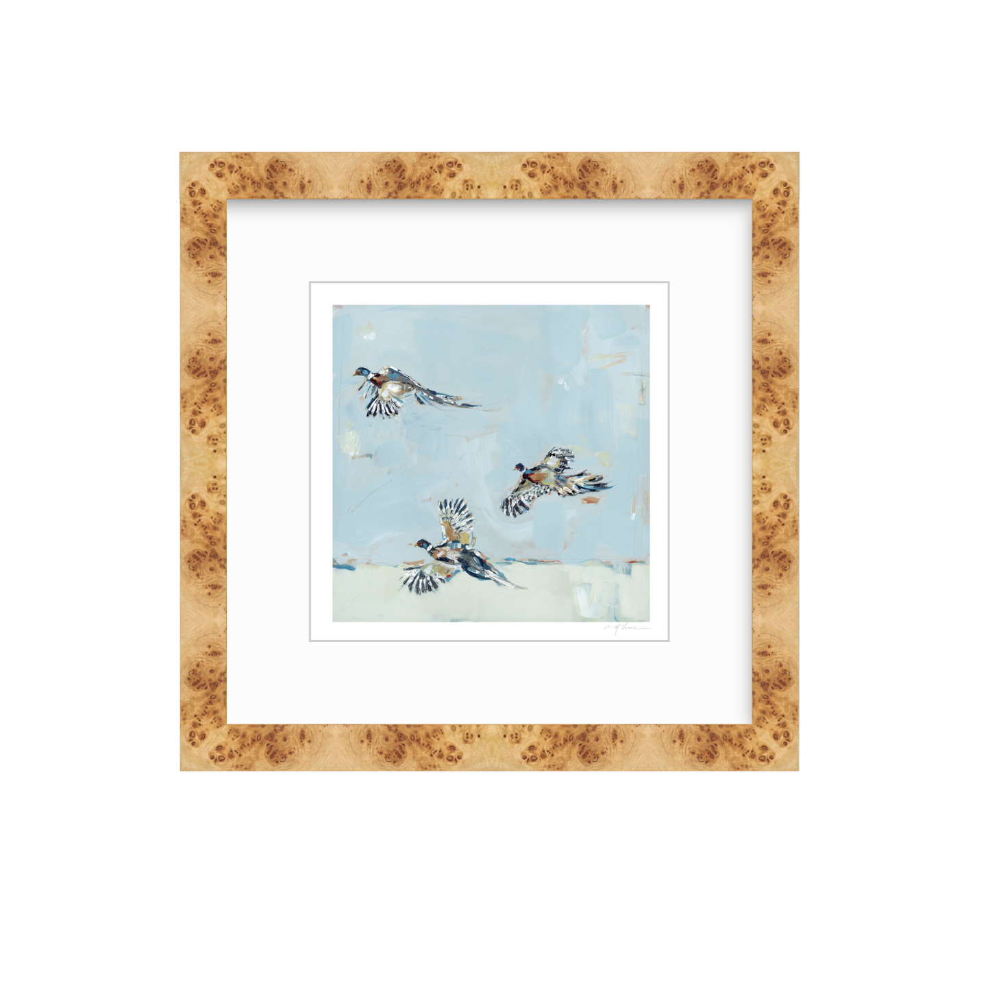 Pheasantly Surpised Pheasant Fine Art Print