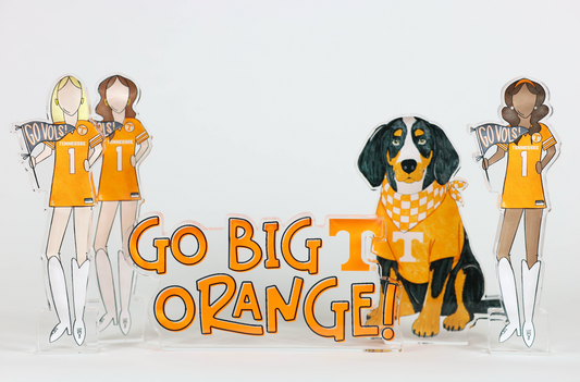 Tennessee Girls Acrylic Block Shelfie
