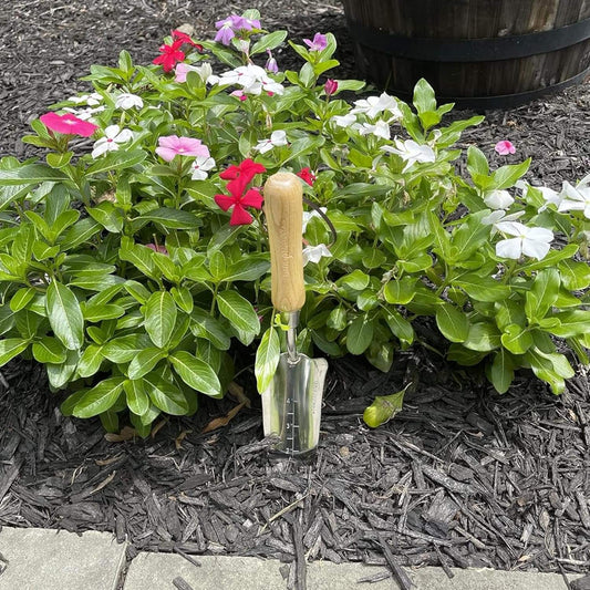 Stainless Steel Transplanter Trowel (classic wood handle)