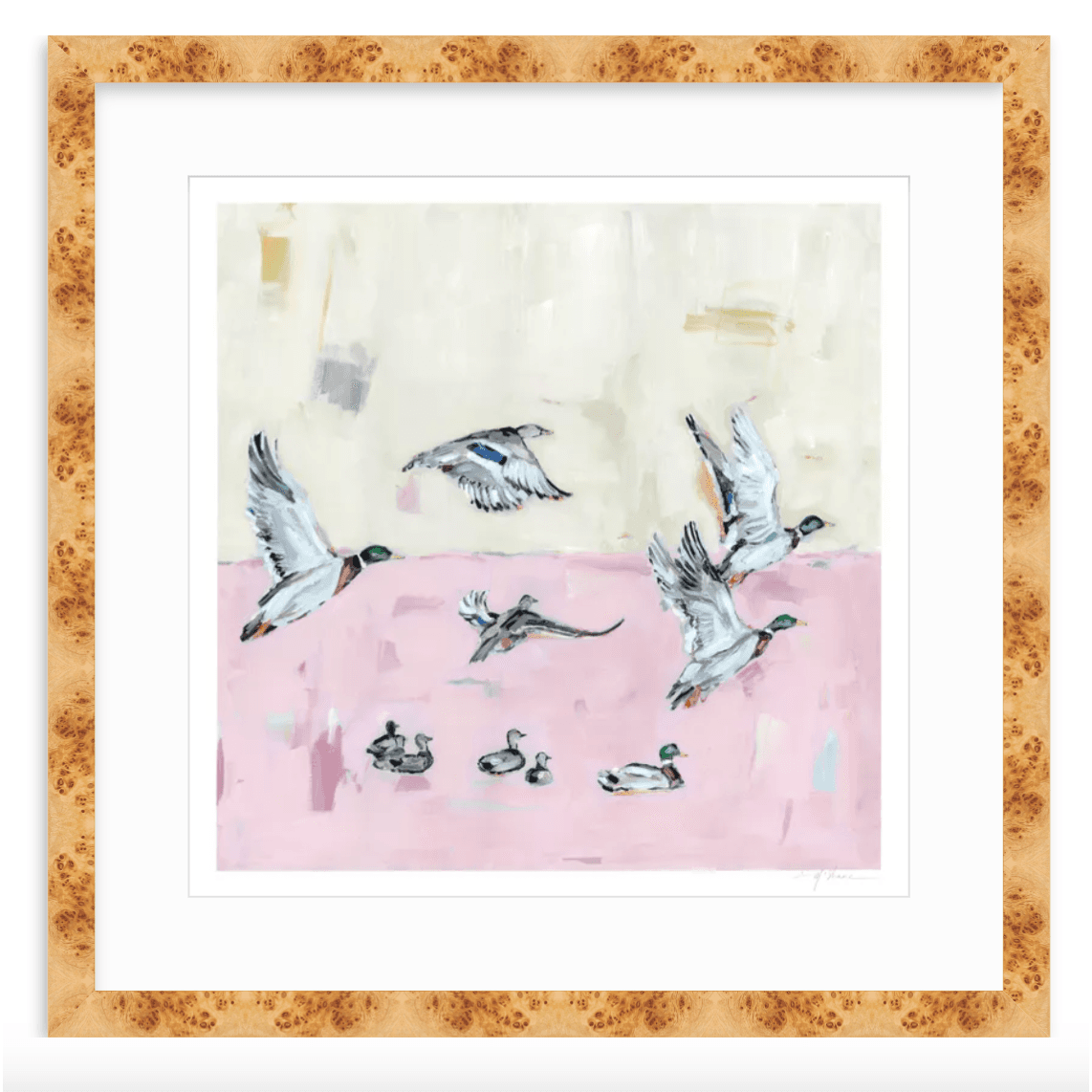 Taking Off Pink Ducks Fine Art Print
