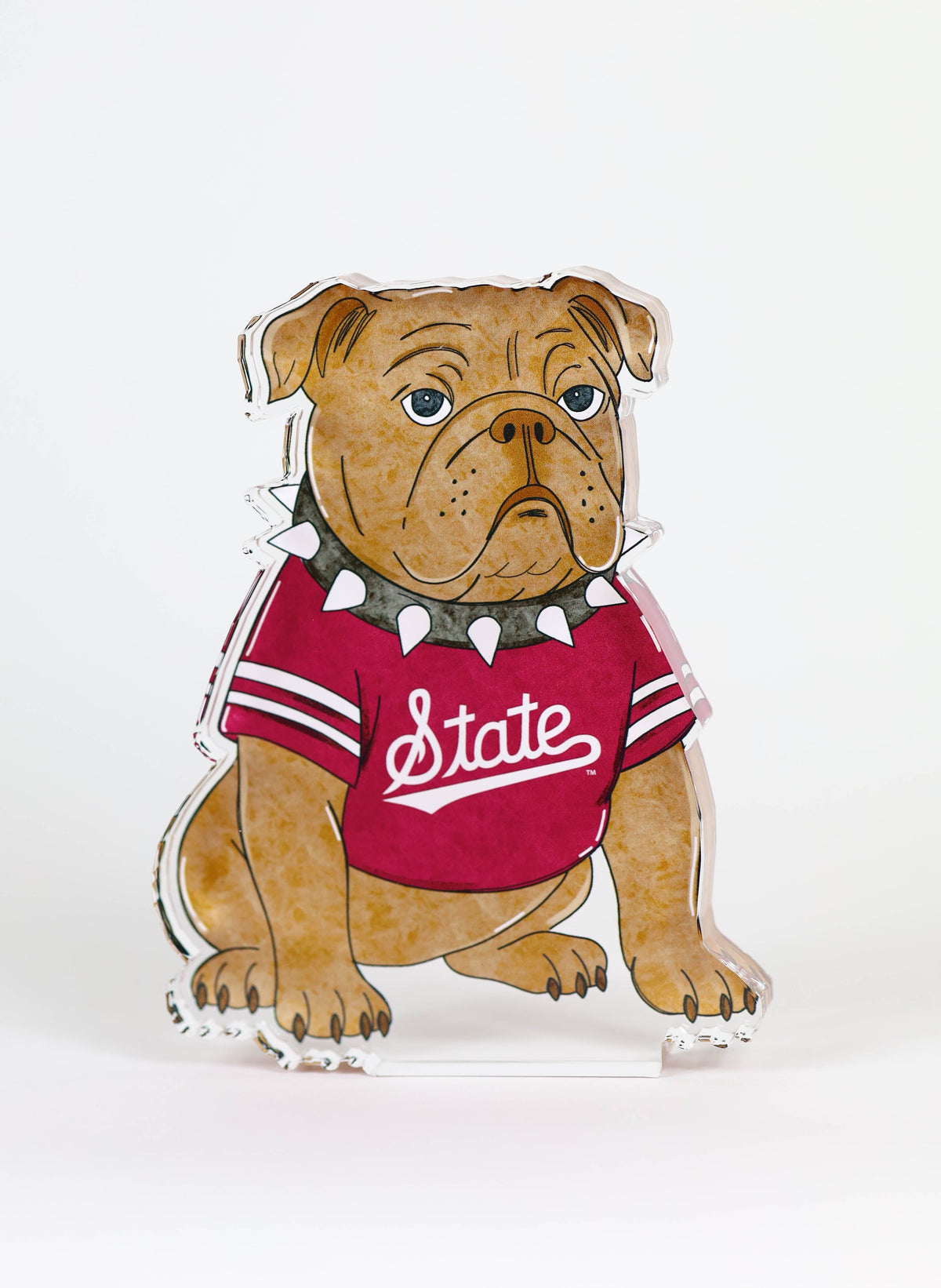 a dog in a shirt
