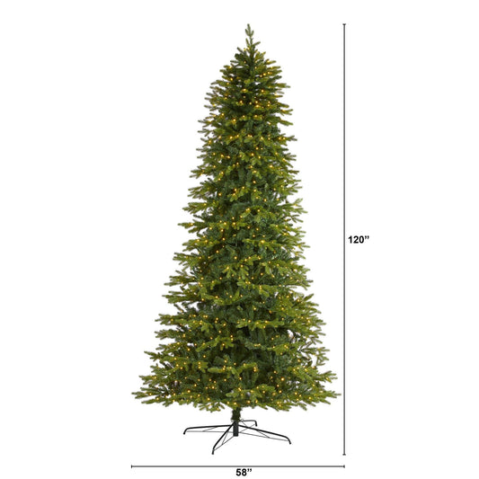 a tall christmas tree with lights