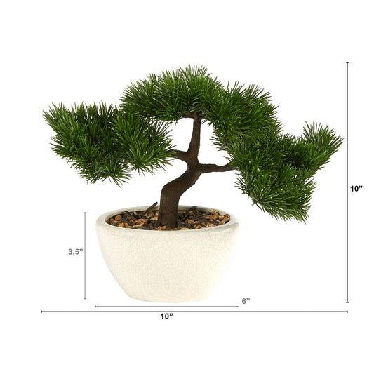 a small potted plant with a small tree