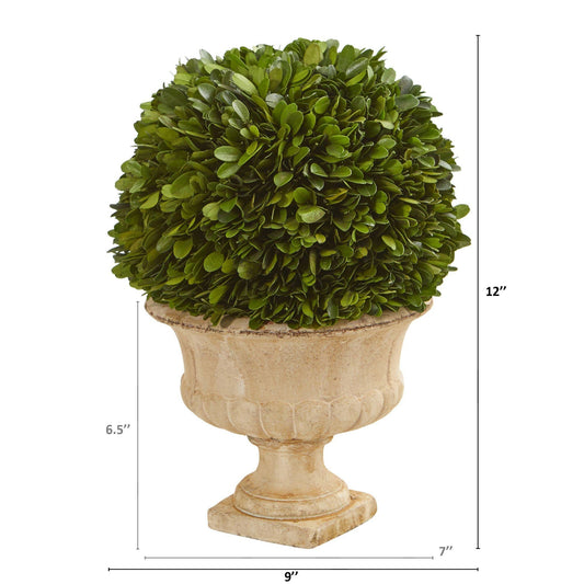 a plant in a pot size