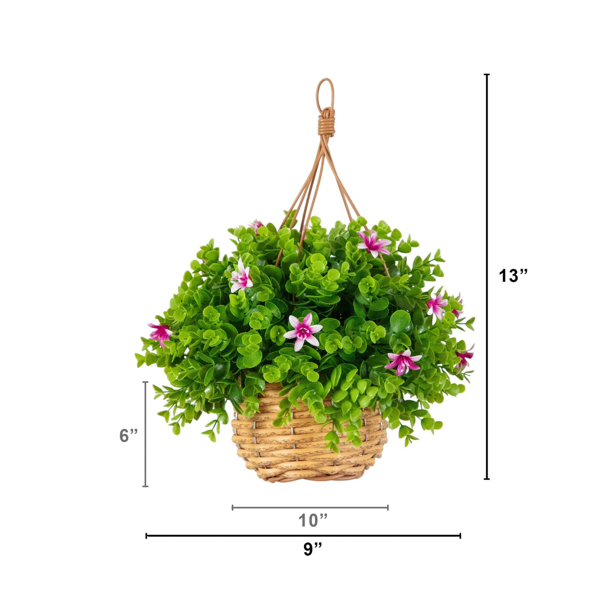 a plant in a basket with size