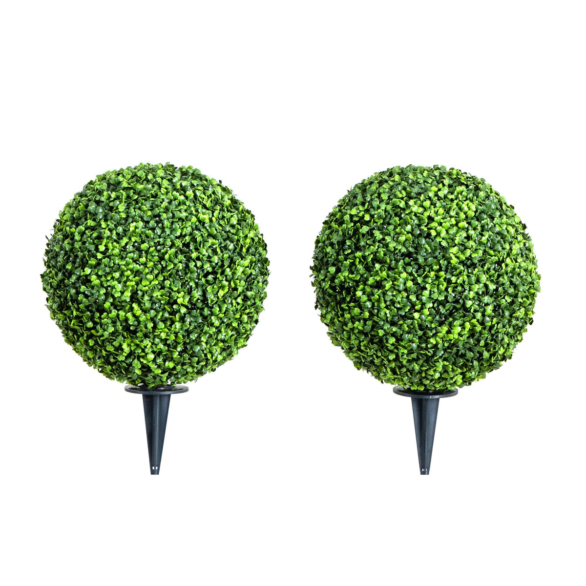 a pair of round green plants