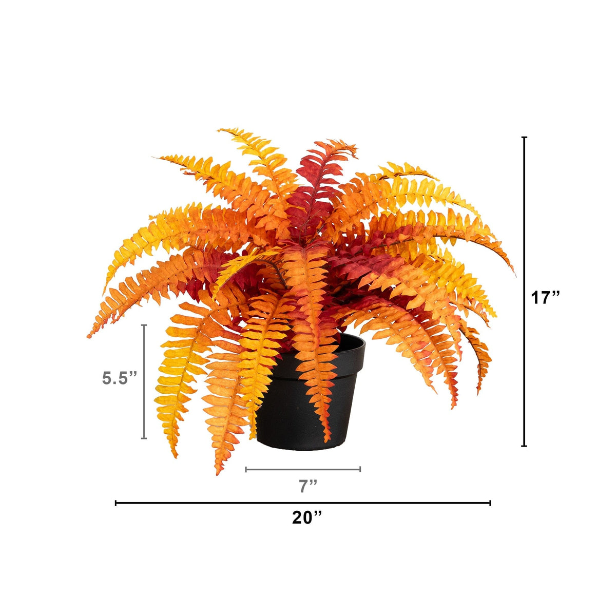 a plant in a pot