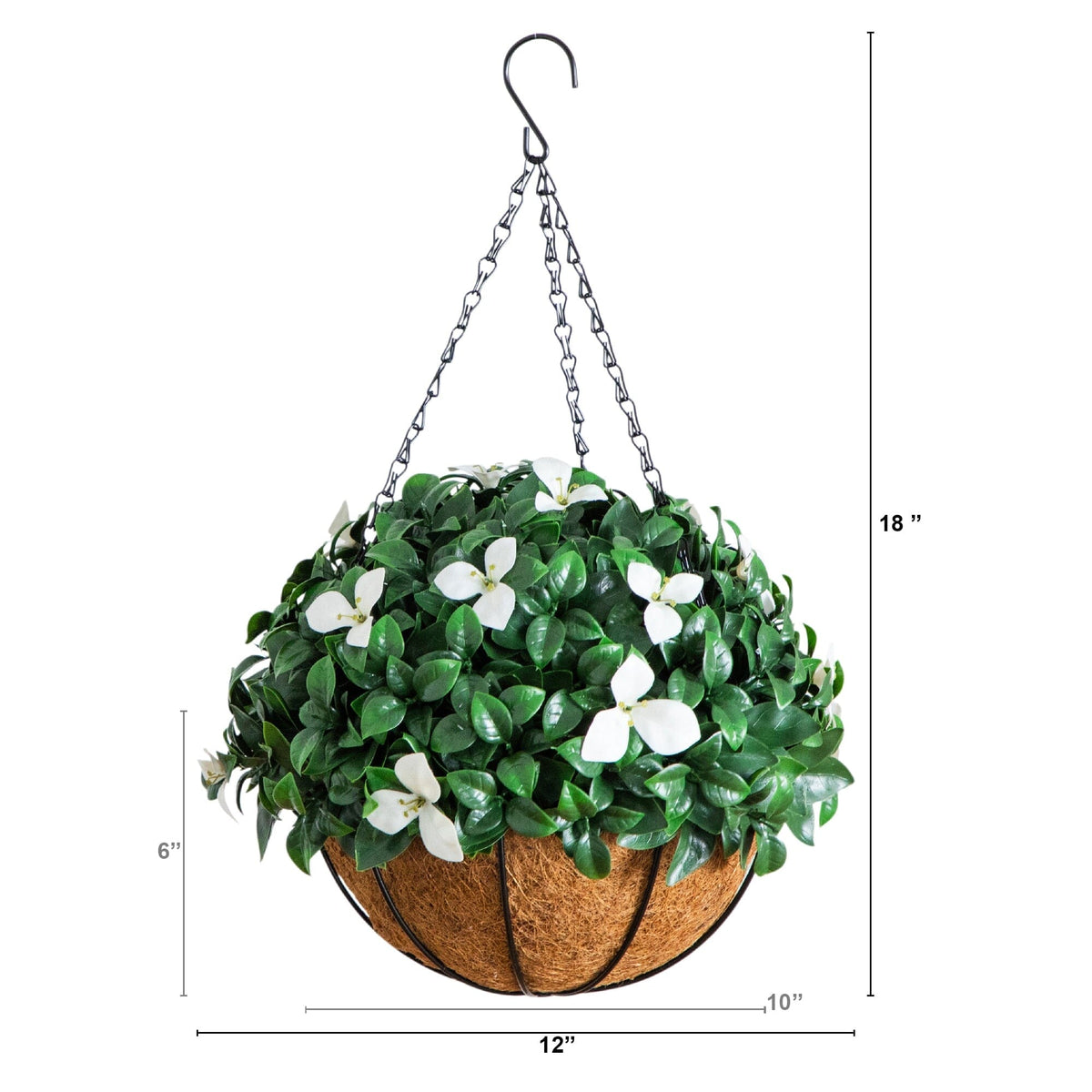 a plant from a hook