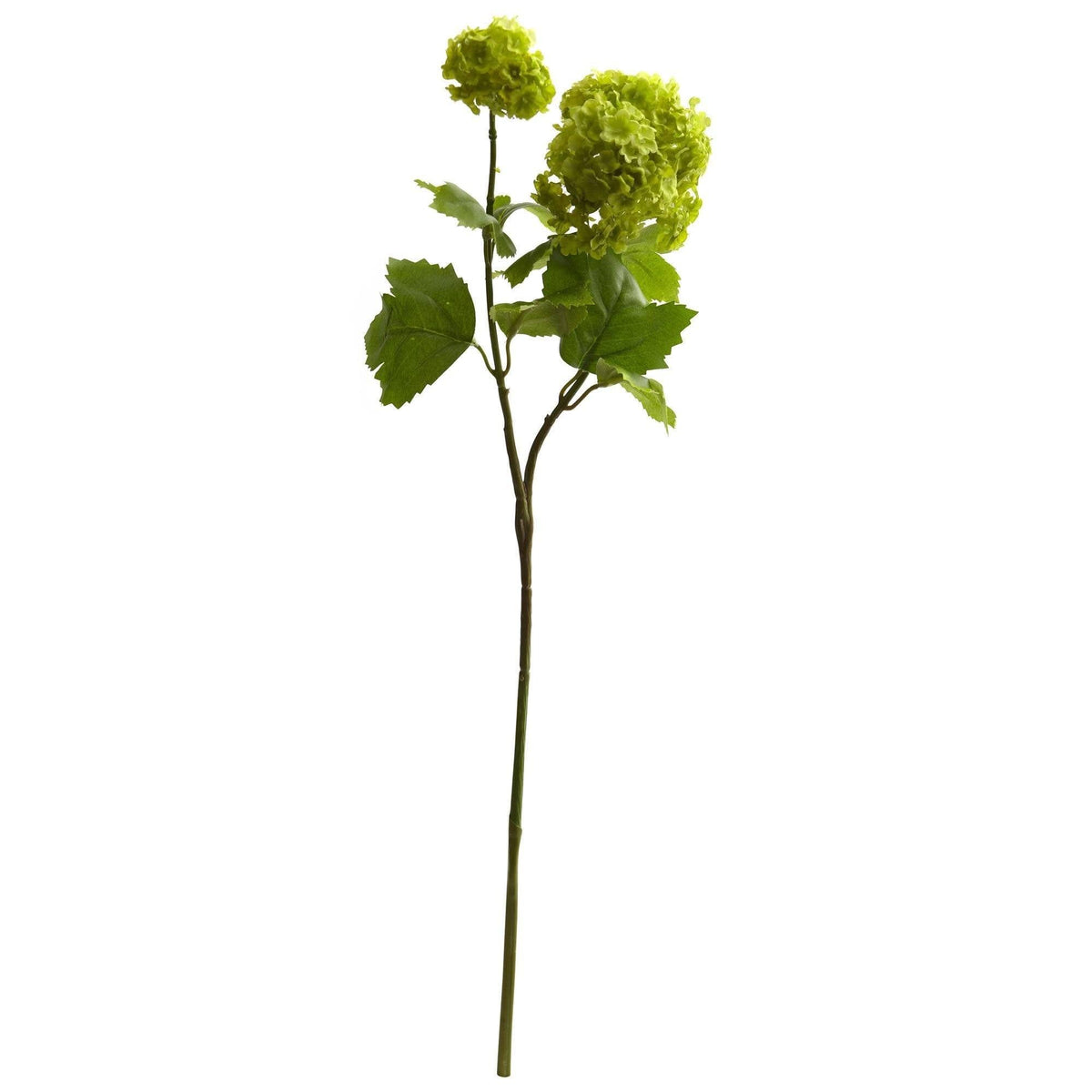 a green flower with leaves