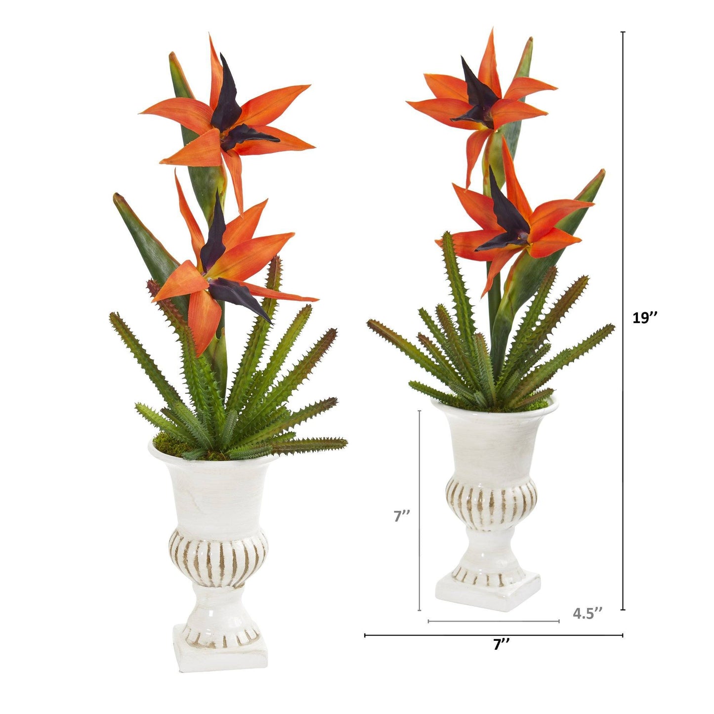 19” Bird of Paradise and Cactus Artificial Arrangement in White Urn (Set of 2)