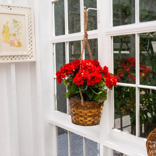a basket of red flowers from a window