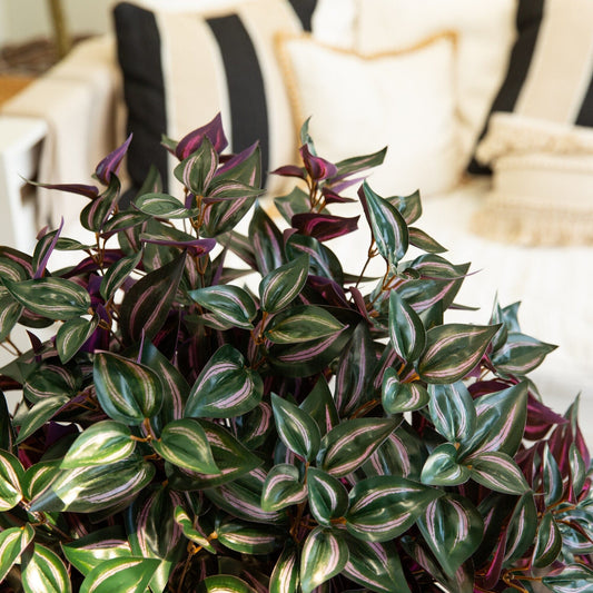 19" UV Resistant Artificial Wandering Jew Bush (Indoor/Outdoor)- Set of 3