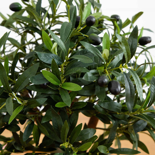 a plant with black berries