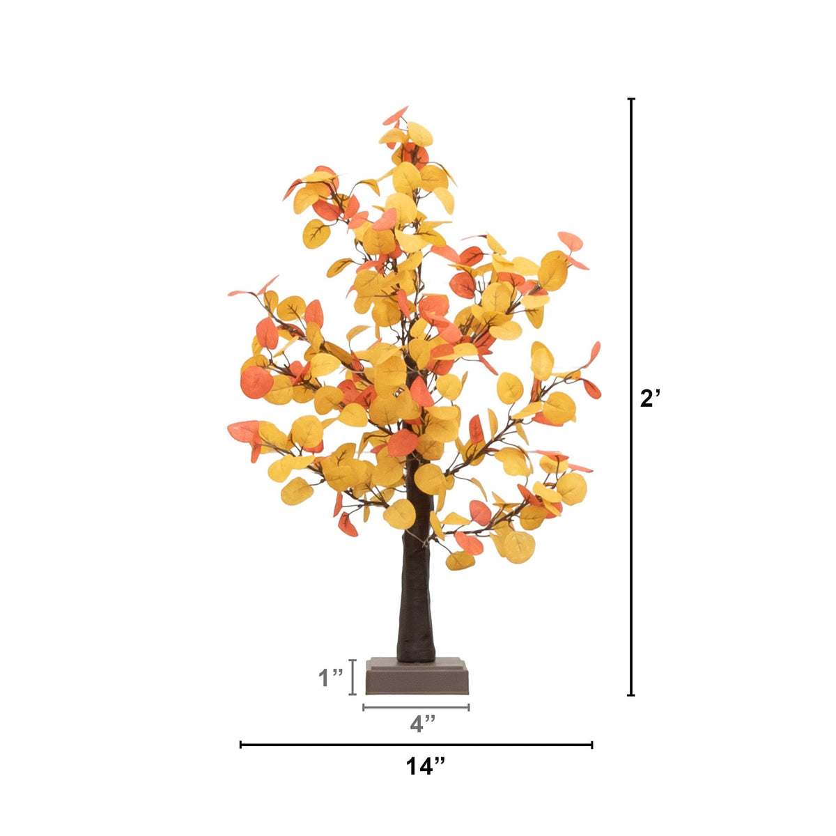 a tree with yellow leaves and a height of a measuring